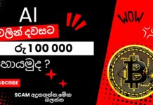 How to Identify a Scam Website Protect Yourself Online