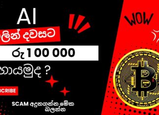 How to Identify a Scam Website Protect Yourself Online