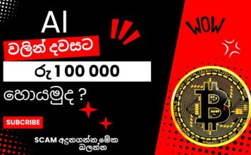 How to Identify a Scam Website Protect Yourself Online